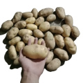 China fresh potato factory supply, natural yellow potato export 2021